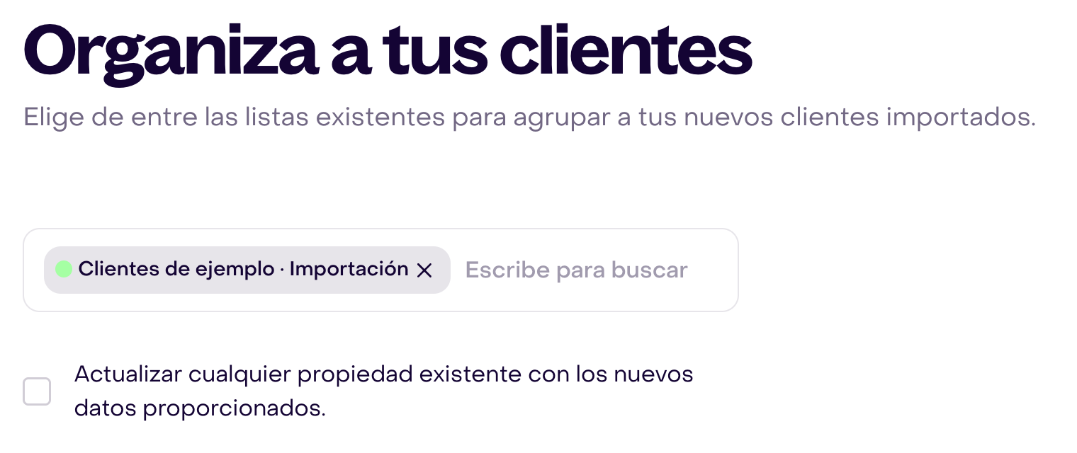 Pantalla Organiza a tus clientes con una lista de ejemplo seleccionada y la casilla para actualizar propiedades existentes desmarcada.